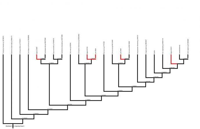 bunting-fig2