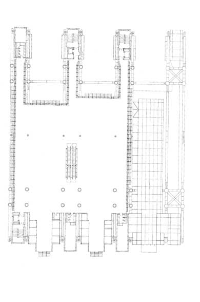 d-choi-3