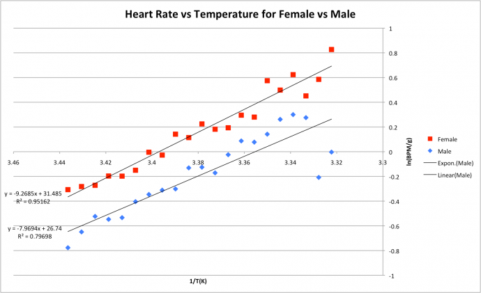 iminitoff-fig4